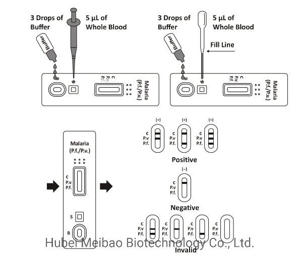 Malaria Antigen PV Pan PF Rapid Detection Device