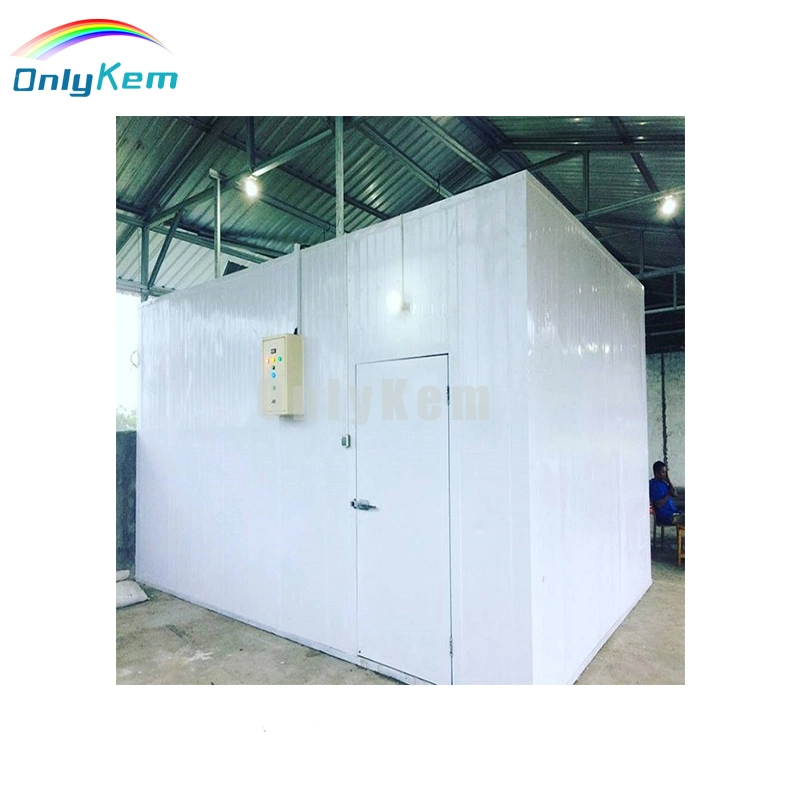 Sea Food Storage Refrigeration System Walk in Freezer Chiller Room