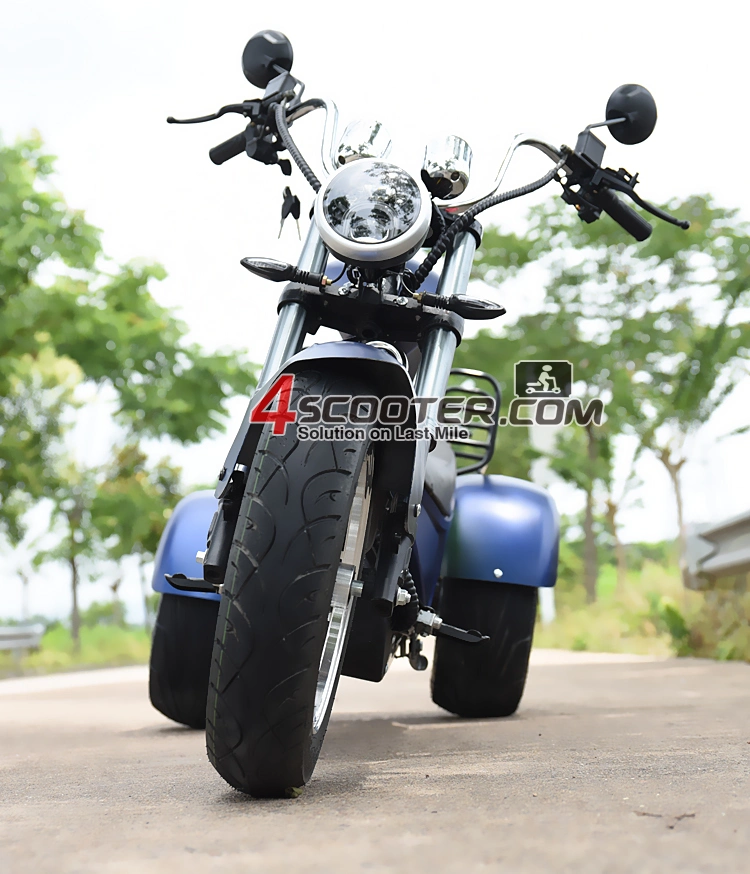 4000W 5000W 6000W EEC Citycoco 3 Three Wheel Electric Motorcycle