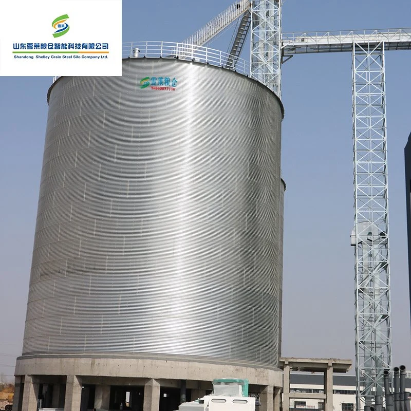 Flat Bottom Grain Silos with Large Capacity Grain Wheat Maize Sorghum Paddy Storage Silo