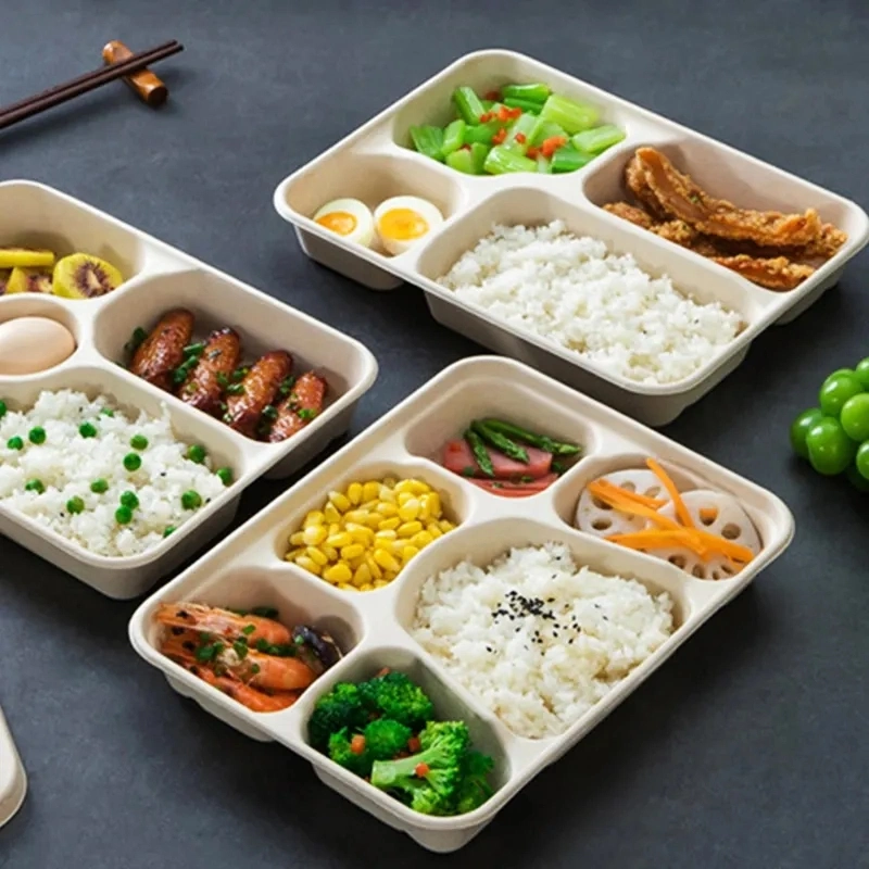 3 4 5 6 Compartments Fast Food Packaging Sugarcane Bagasse Pulp Compostable Biodegradable Disposable Large Plate Tray