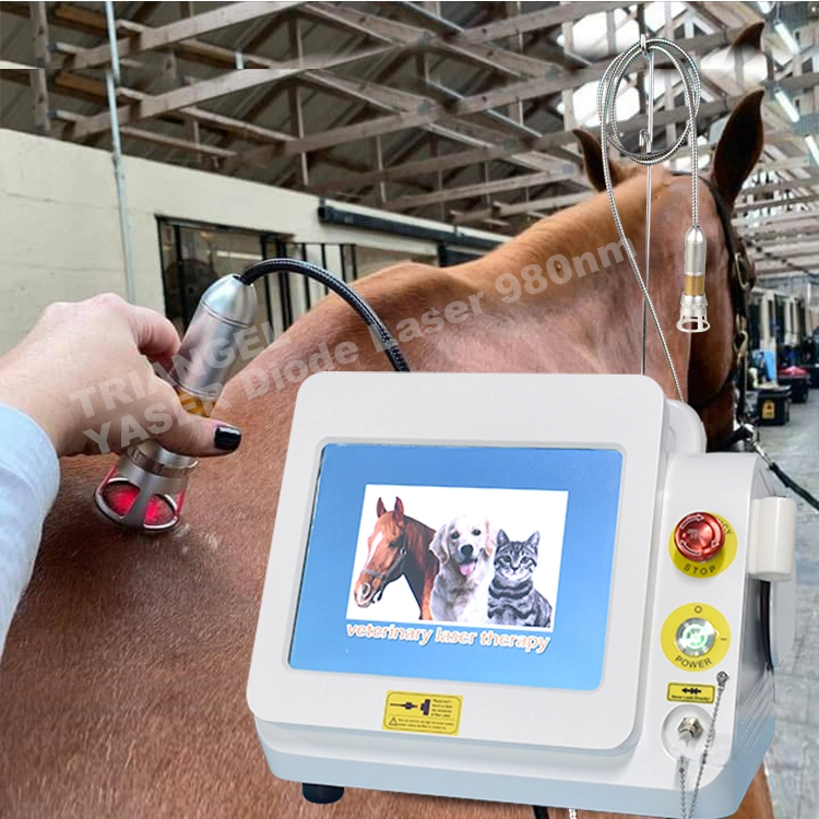 Discount Class IV Laser 980nm Laser Physiotherapy Device Price Machine Higt Intensity Veterinary Laser Therapy Vet Laser for Horse