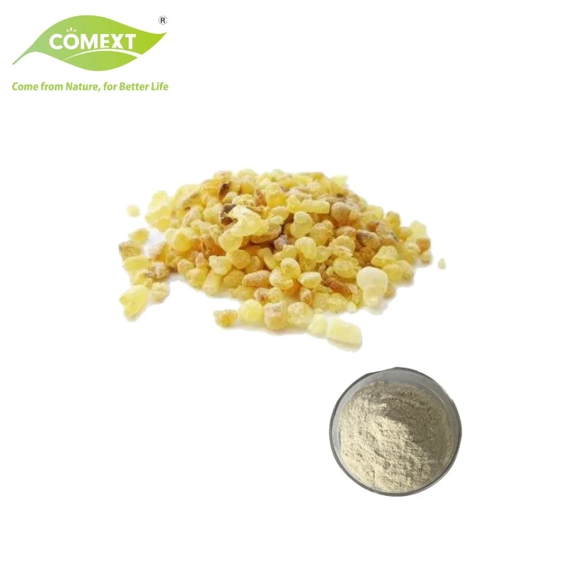 Comext Factory Direct Supply High quality/High cost performance for Supplement Powder Boswellic Acid Boswellia Serrata Extract