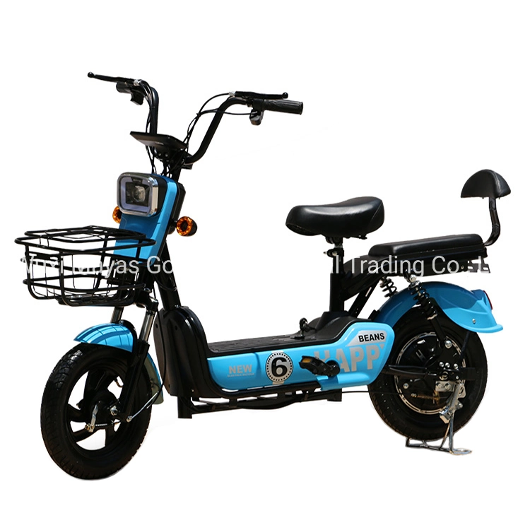 2023 New Best Electric Bicycle Electric Dirt Bike for Sale