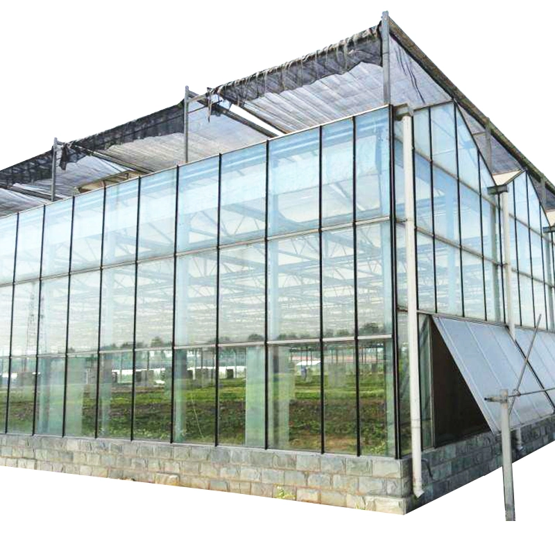 Multi-Span Glass Covered Greenhouses for Vegetable/Fruits/Flowers with Ventilation/Irrigation/Hydroponics System