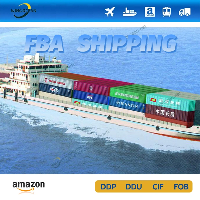 Reliable International Cheapest and Fastest Sea Shipping Provider From Shenzhen to United Arab Emirates DDU DDP Logistics Service