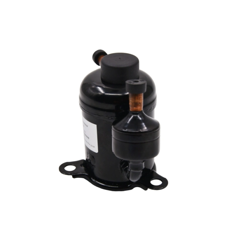 R290 24 Volt 400W 500W 600W Brushless BLDC Type Miniature Rotary Compressor for Micro Refrigeration