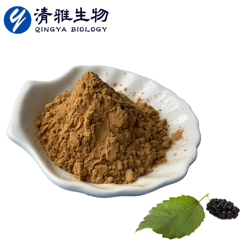 Mulberry Leaf Flavonoide 5%-30% Mulberry Leaf Extrakt Nahrungszusatzstoff