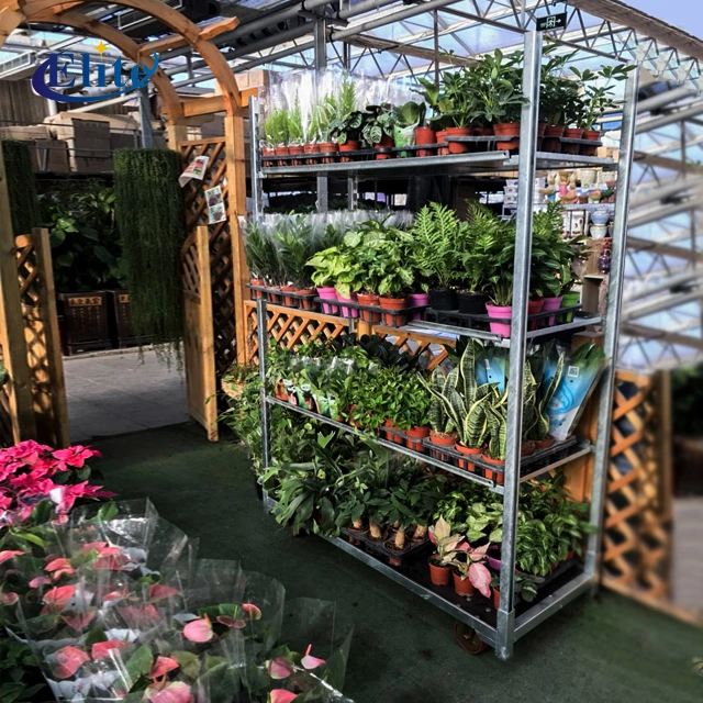 Elite Easy Assemble Danish Trolley in Greenhouse Garden Center