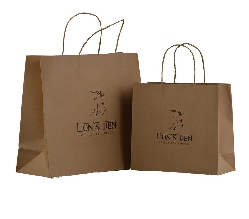 Luxury Gift Bag Custom Paper Packaging Shopping Bag/Paper Bag for Clothing