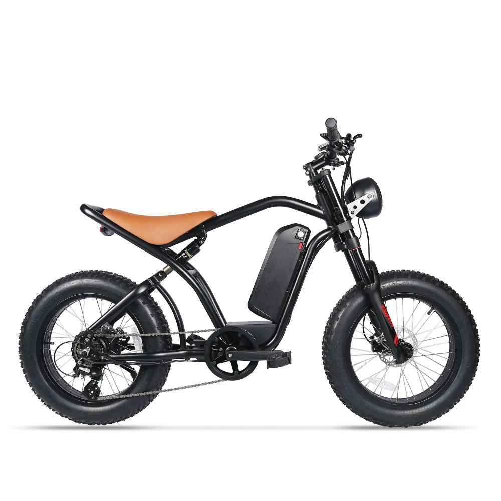 دراجة هوائية كهربائية من نوع Fat Tire قياس 20 بوصة من نوع E