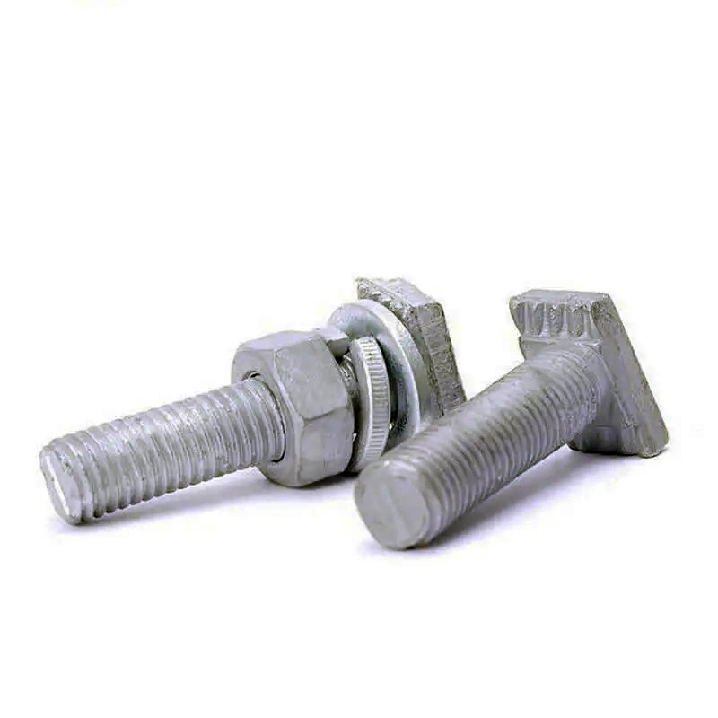 Grade 8.8 Hot DIP Galvanized T-Bolt T-Shaped Head Halfen Serrated Bolt