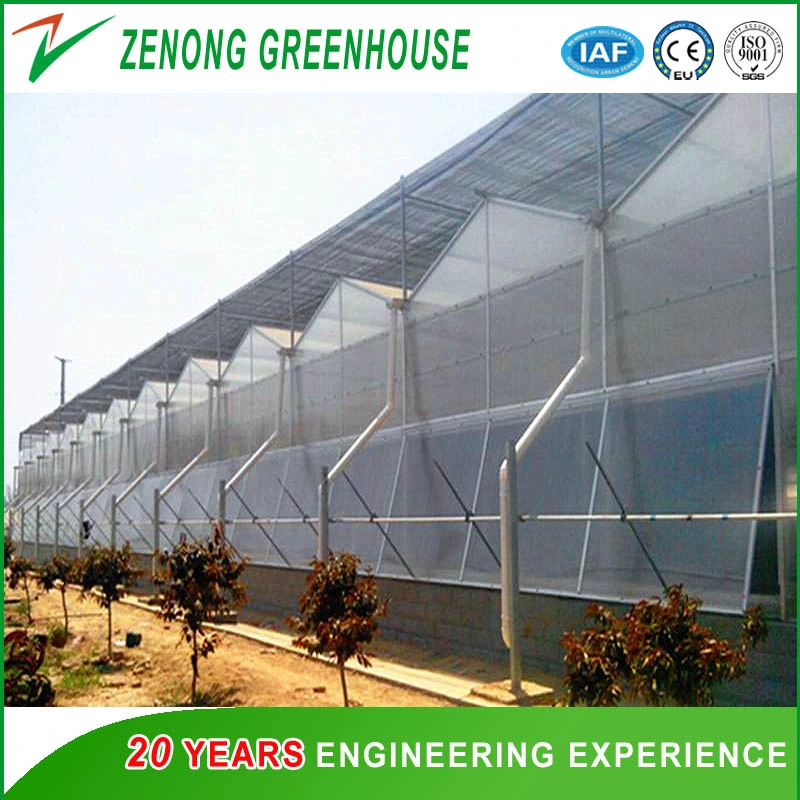 Agriculture Low Cost Smart PC Greenhouse with Hydroponic Growing System