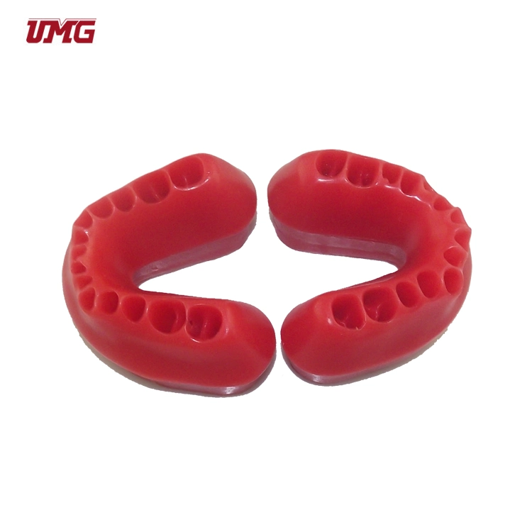 High quality/High cost performance  Wax Occlusion Rim Teaching Tooth Model