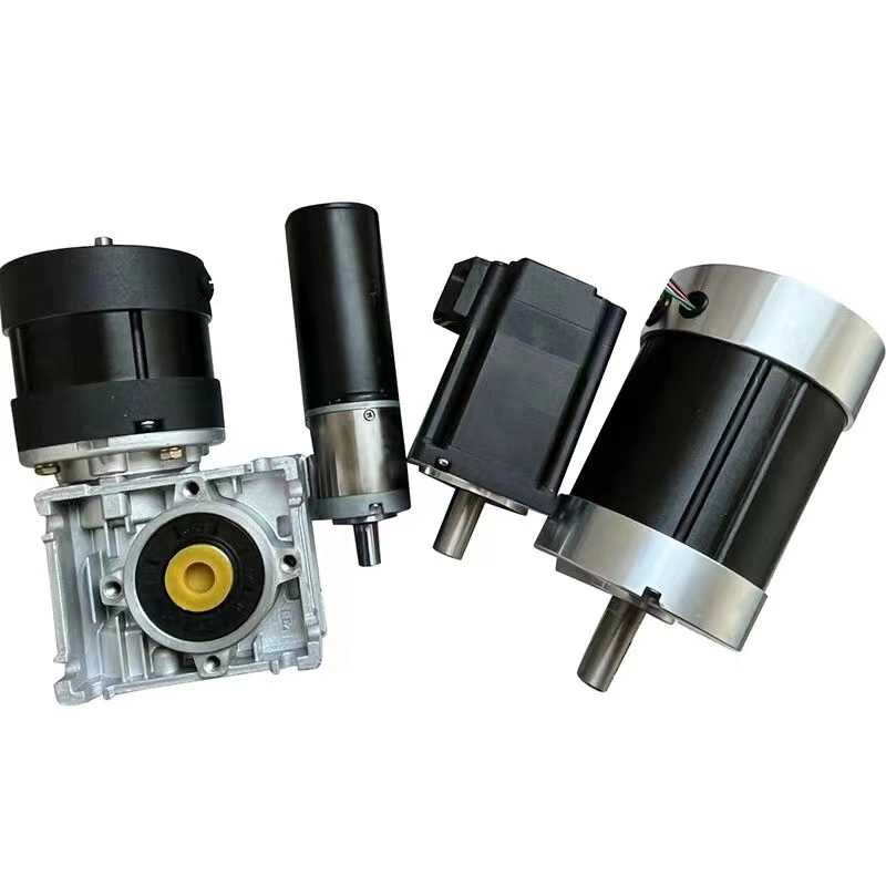 Moteur à courant continu brossé ou sans balais personnalisable 12V 18V 24V 36V 48V 310V PMDC/BLDC Moteur à engrenages planétaires/à vis sans fin 12 24 36 48 Volt 15W 50W 100W 200W 300W 500W 800W