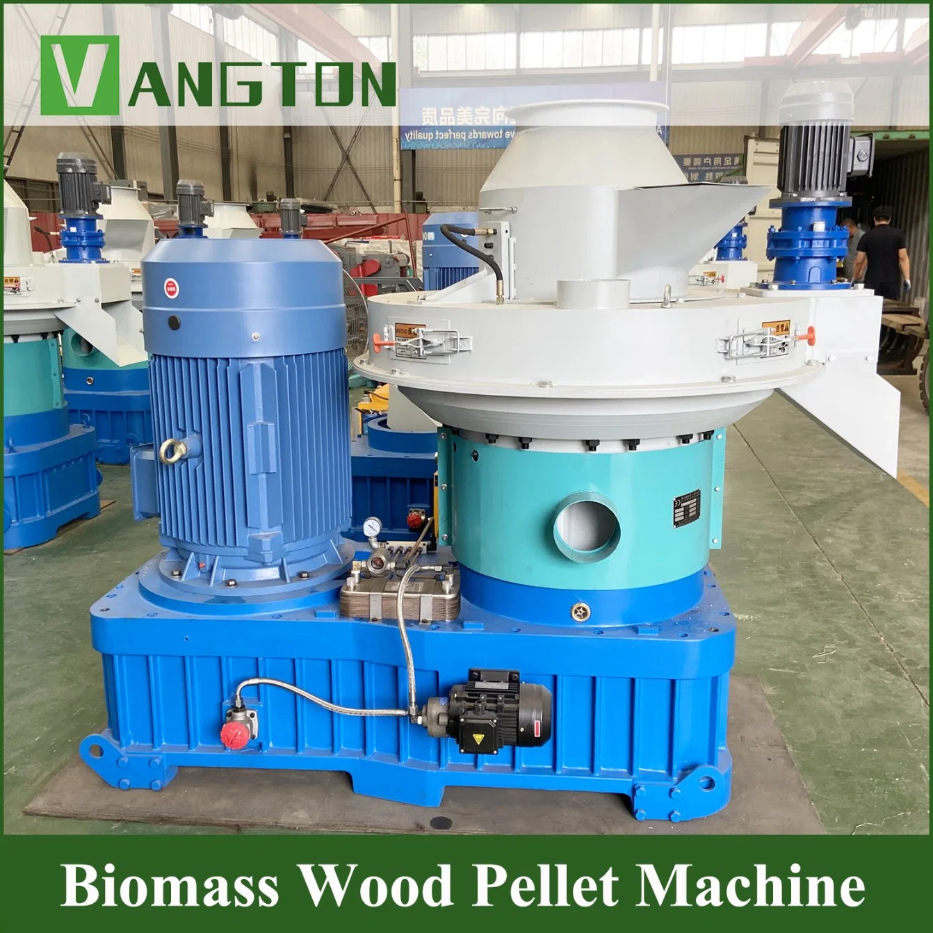 Ring Die Biomass/Wood Chips/Rice Husk/Sawdust Pellet Mill Manufacturer From China Npm560