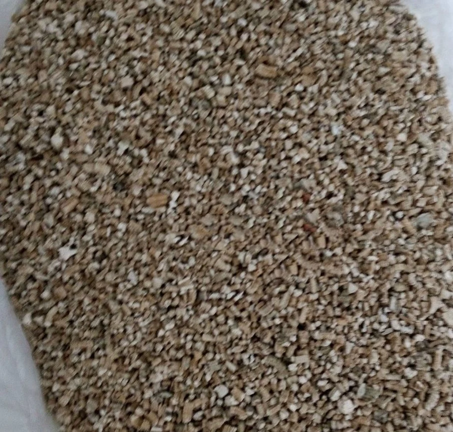 Engrais minéral de serre croissance des semences Vermiculite