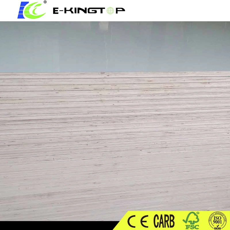 Chinese Suppliers Two Side White 16mm HPL Board Plywod for Israel