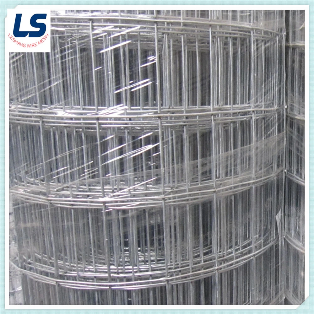 Hengshui Factory Welded Wire Iron Mesh/ Galvanized Welded Wire Mesh