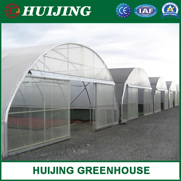 Single-Span Arch Type Film Greenhouse with Hydroponics Growing System for Agriculture/Vegetables/Tomatoes/Seeding
