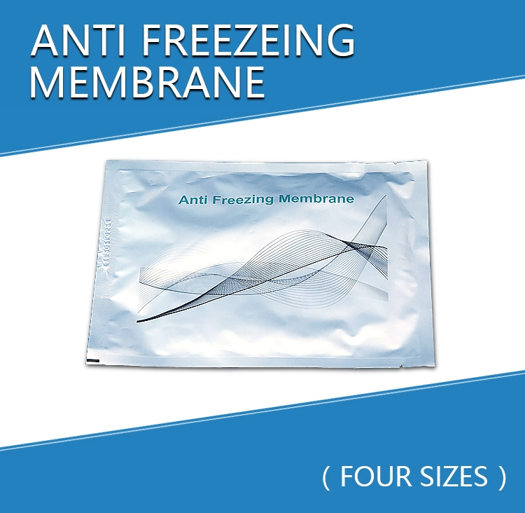 Membrane anti Gel Gel Fat congélateur TAMPONS DE PROTECTION 28 I pour la cryothérapie saigner Fat Gel Machine