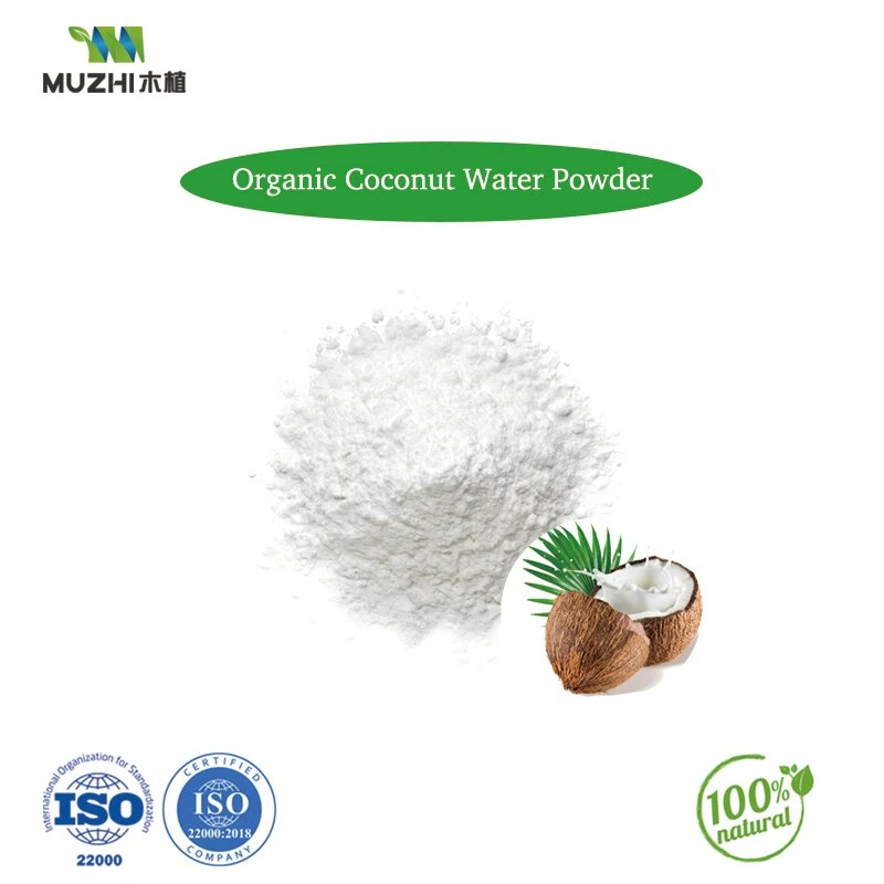 High quality/High cost performance 100% Pure Nature Organic Coconut Fruit Powder Cocos