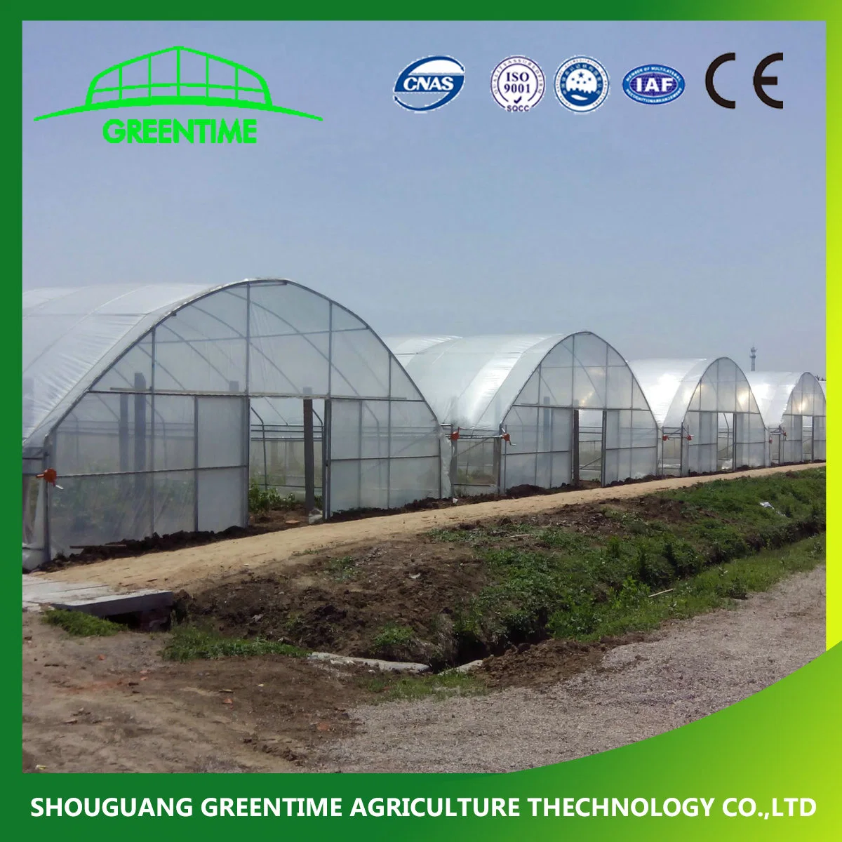 Factory Price High Quality Plastic Film Greenhouse for Flower Hydroponic Growing