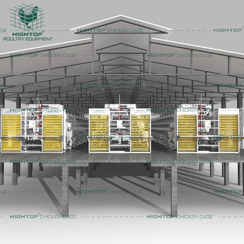 Diseño de malla de alambre galvanizado en caliente un tipo de batería automática de la jaula de pollo para las gallinas ponedoras