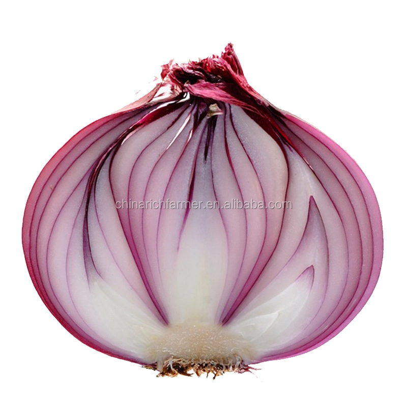 Natural Fresh Red Onion Export