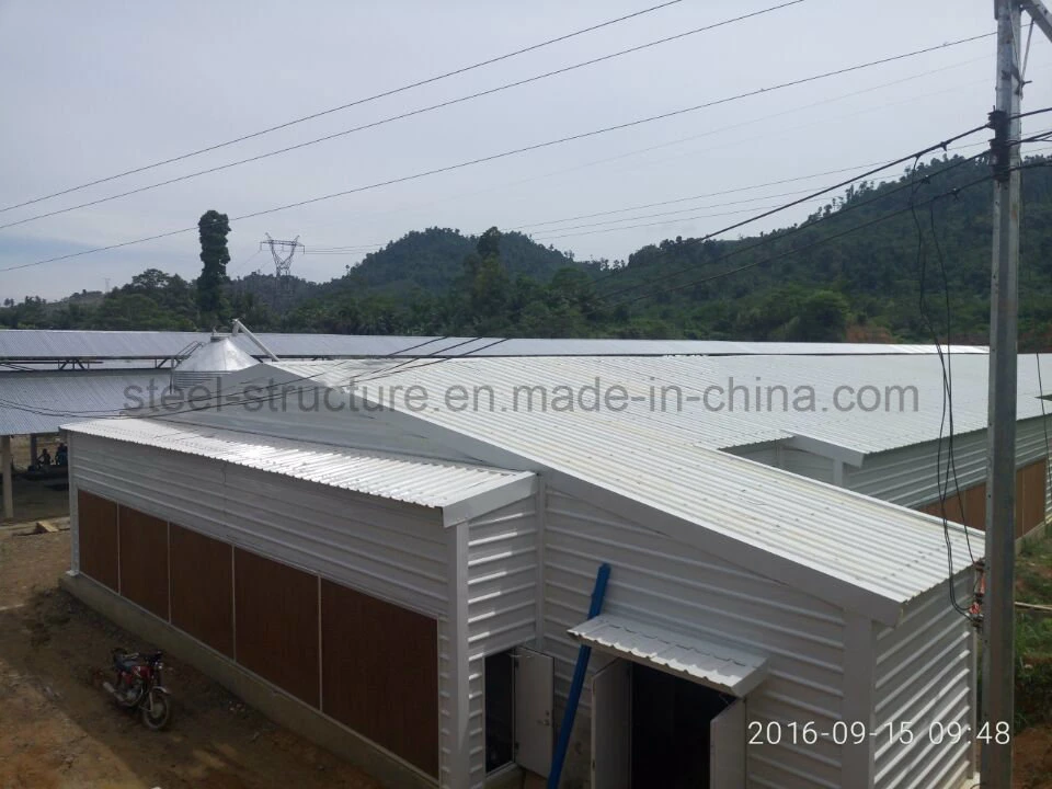 Prefabricated Customized Light Steel Structure Buidling Poultry Chicken Coop Shed