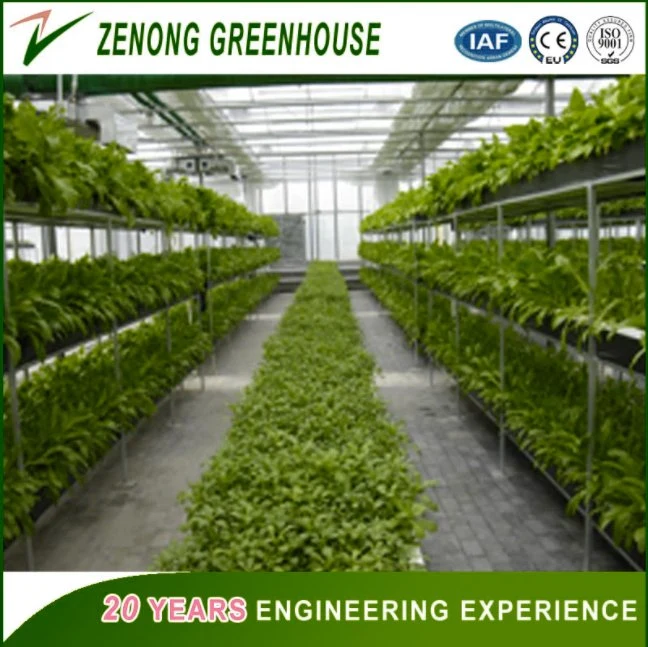 PC Board Greenhouse Equipped with Complete System for Commercial Hydroponic Growing Vegetables,
