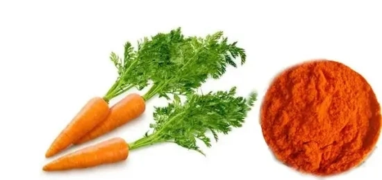 Suministro de alimentos naturales Color fabricante Beta Caroteno con mejor precio