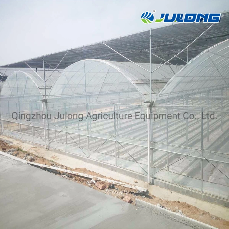 Tomato Tunnel Poly Film Greenhouse for Agriculture Farming