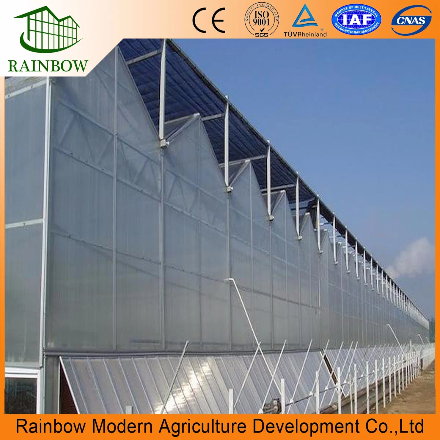 Low Cost Polycarbonate Sheet Commercial Greenhouse for Sale Supply by Chinese Factory