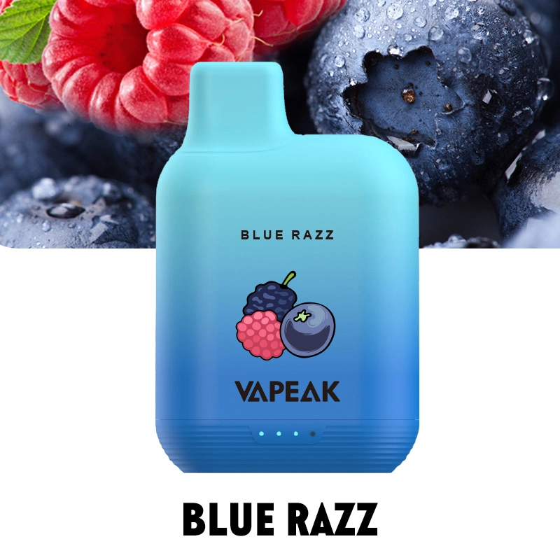 Shenzhen Prix de gros Vapeak Grand 5000 Puffs Pod Pen nicotine Mini cigarette électronique jetable gratuite pour distributeur de gros Vape