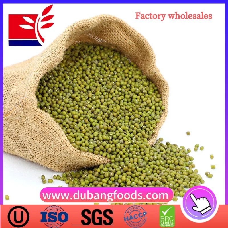 Wholesale Dried Green Beans 4.2mm for Food
