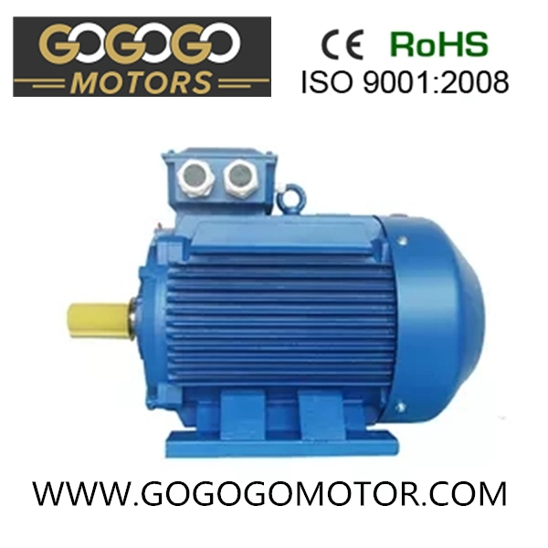 Y2 Series Cast Iron Housing Three Phase AC Electric Motors