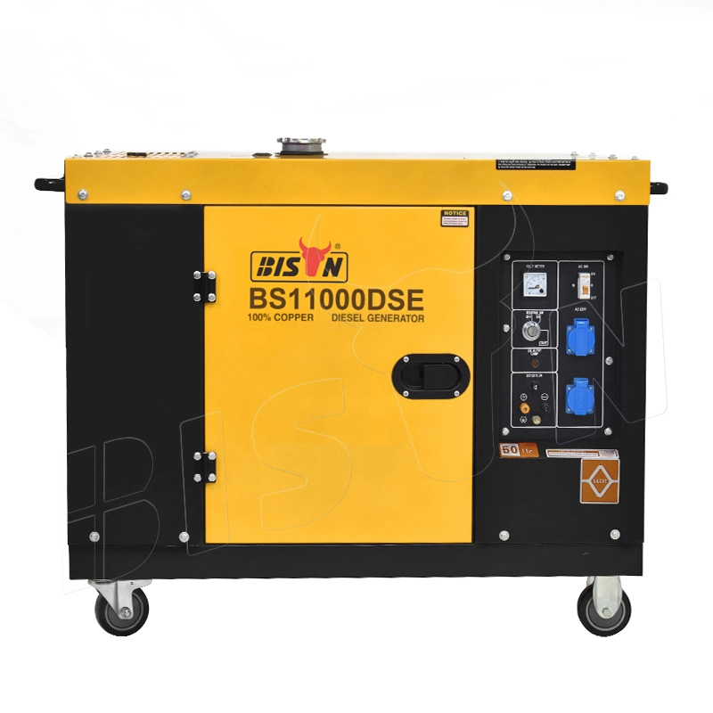 Bison (China) Tragbarer 1 Zylinder 8,5kVA 8000 Watt Silent Diesel Generatorsatz