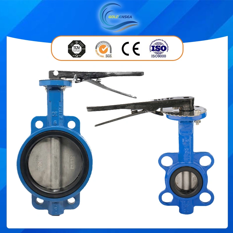 الصب صمام رقاقة PTFE Pn10 Pn16 DN80 DN150 Butterfly Valve