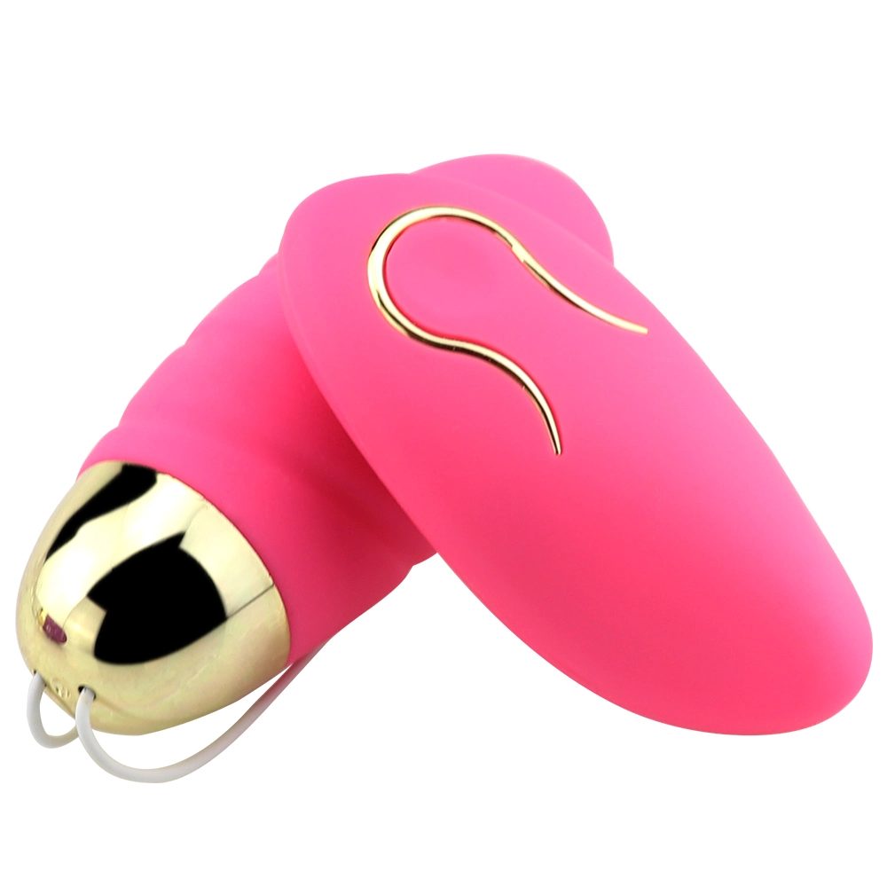 Premium Love Egg Vibrator Remote Control USB Rechargeable Female Adult Sex Toys