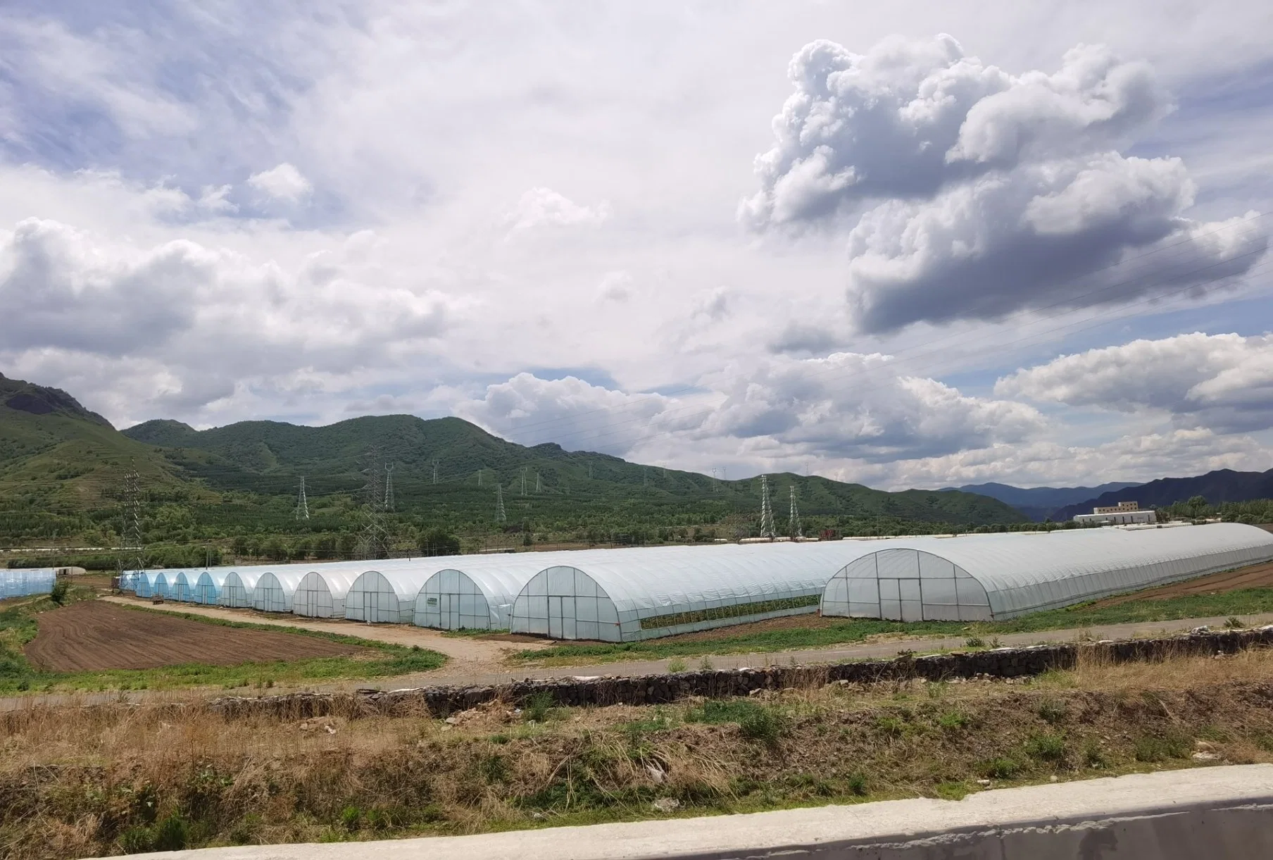 Многопролетная прочная ветроустойчивость Тип Plastic Tunnel Greenhouse