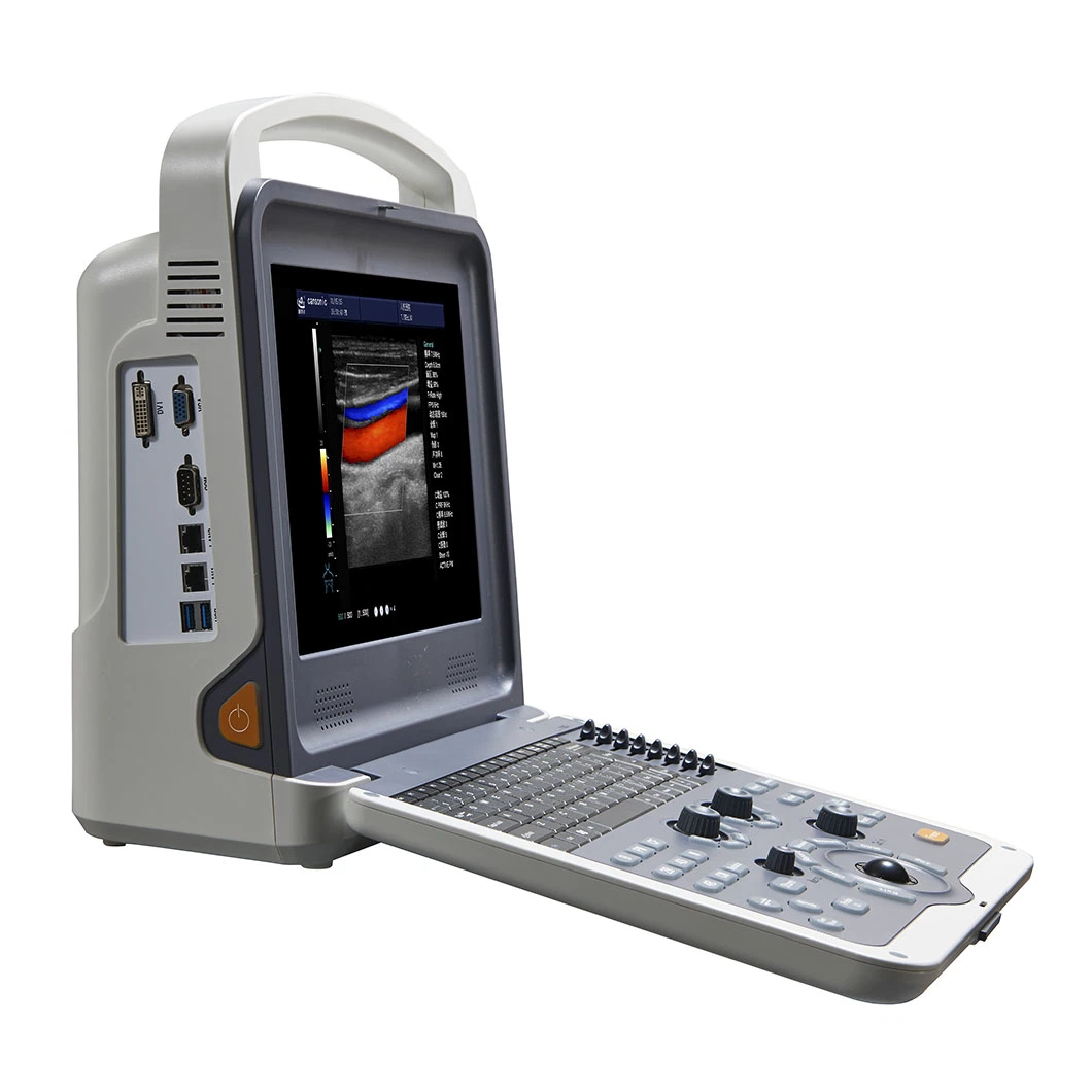 Medical Portable Dogs Cats Sheep Horse Veterinary Color Doppler Ultrasound Scanner