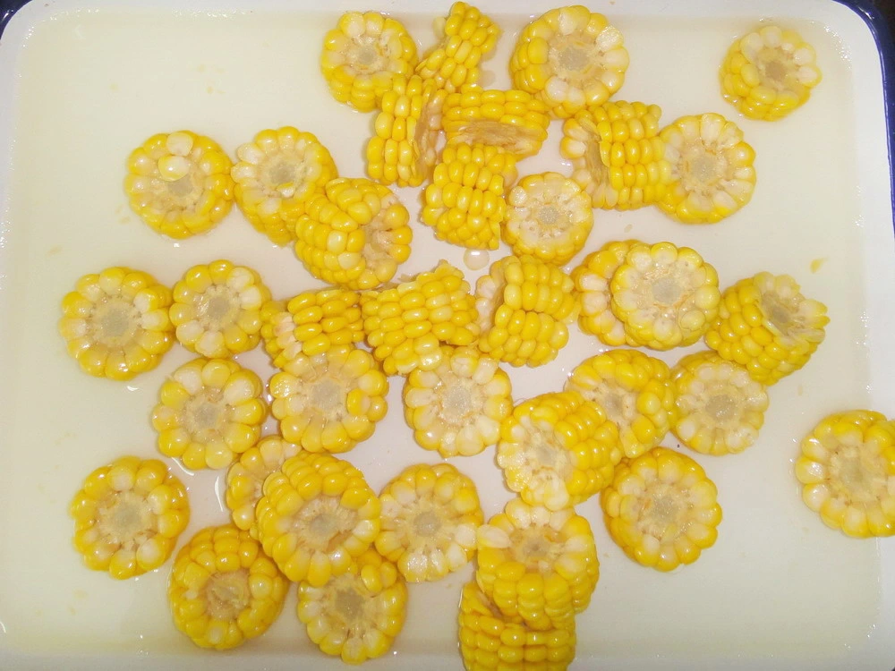 Canned Fresh Sweet Corn Food From New Season