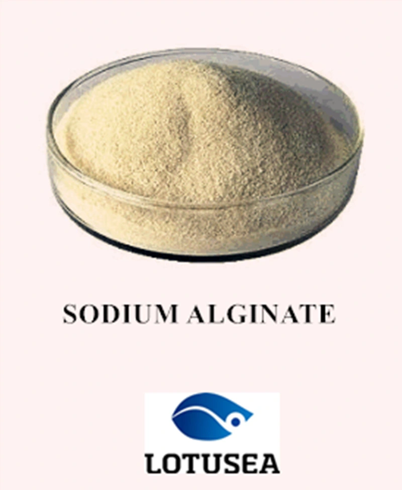 Sodium Alginate for Textile Reactive Dye Use 150mesh 500cps