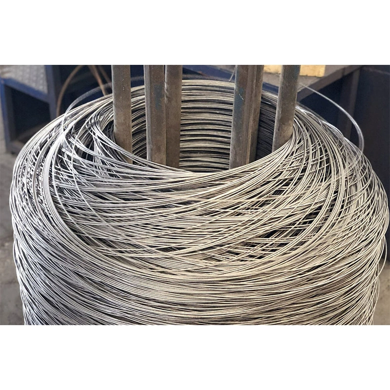 Cold Heading Steel Wire Rod for Cold Drawn Wire SAE 1006 SAE 1008 Alloy Plain Wire Rod in Coil for Cold Drawn Wire Nail Making