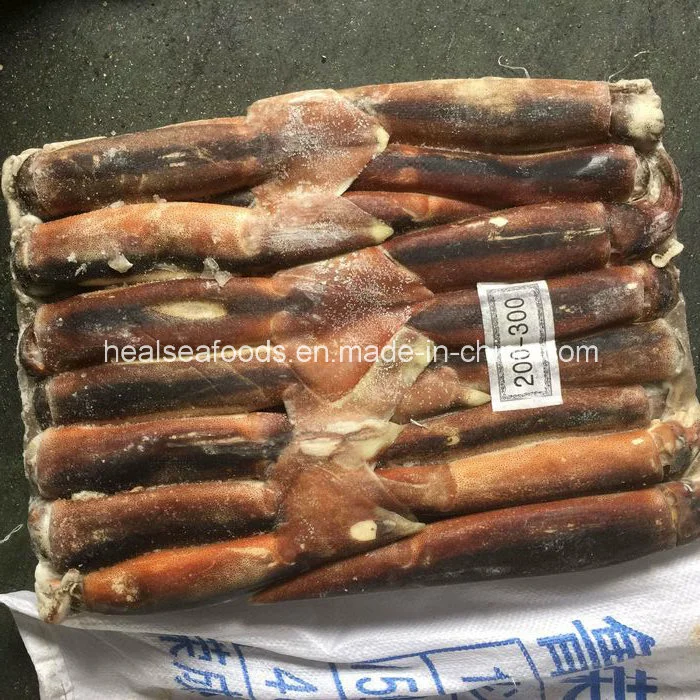 Bqf Seafood Argentina Squid 2017 New Product Illex Squid Wholesale