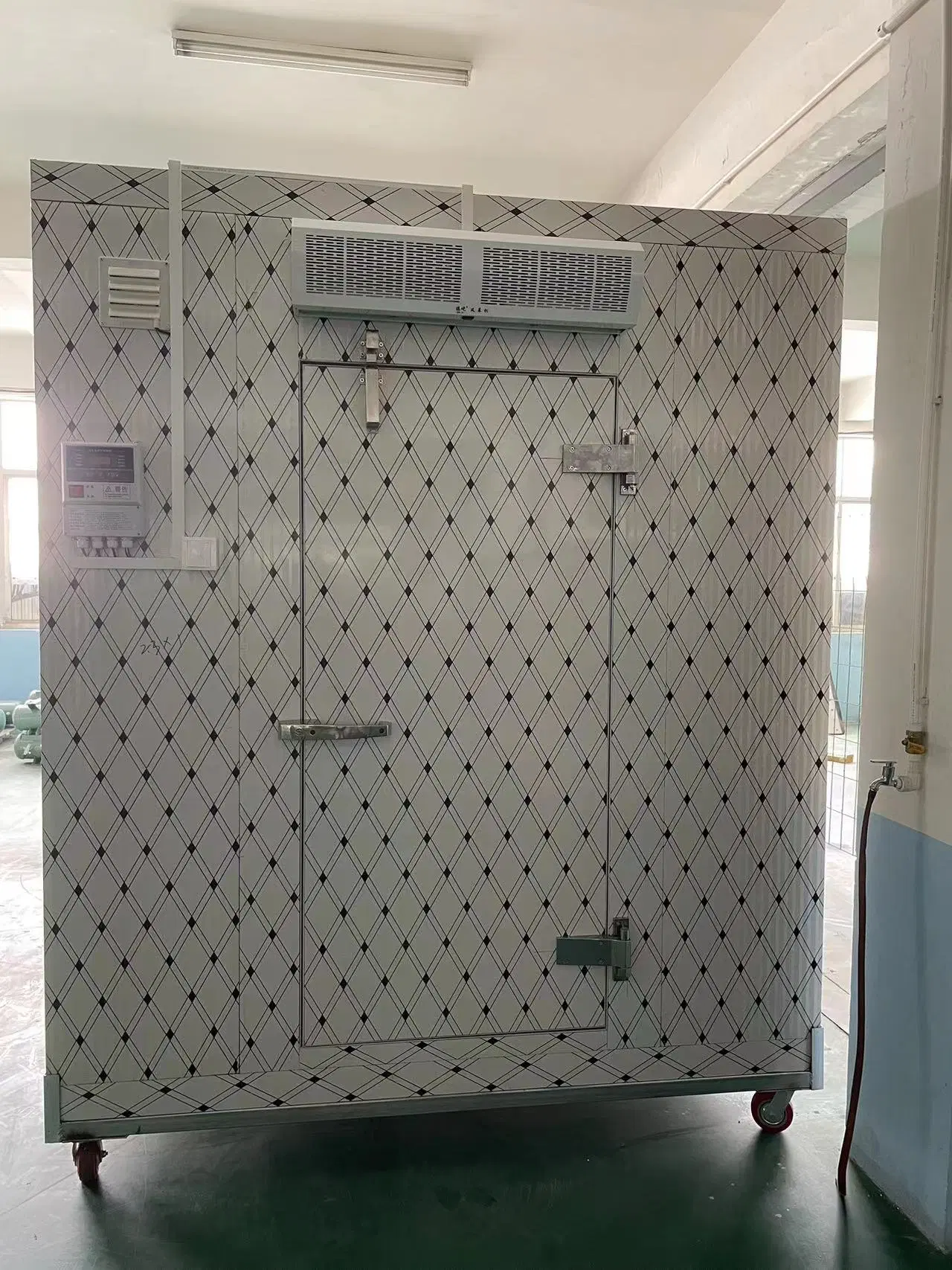 Cold Storage Manufacturer Low Price High Quality Mini Frozen Cold Storage/Cold Room for Meat and Fish