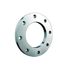 2 Inch Sch160 HS Code Forged Plate Flanges 2in 600lbs Flanged Fittings