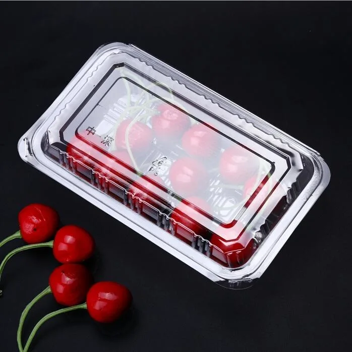 wholesale factory  PET Fruit and vegetable  punnets Food Container with EU regulation