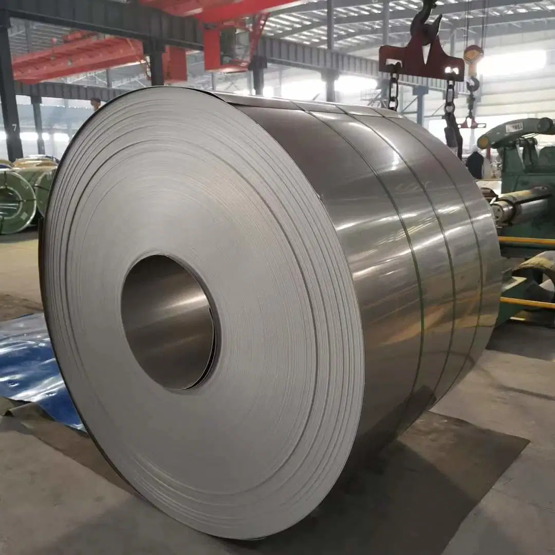 Hot/Cold Rolled Prepainted/Color Zinc Coated/Galvanized/Gallvalume/Corrugated/Aluminum/Ss400/A36/Z275/304/316L/430/Sainless/PPGI/PPGL/Gi/Gl/Carbon Steel Coil